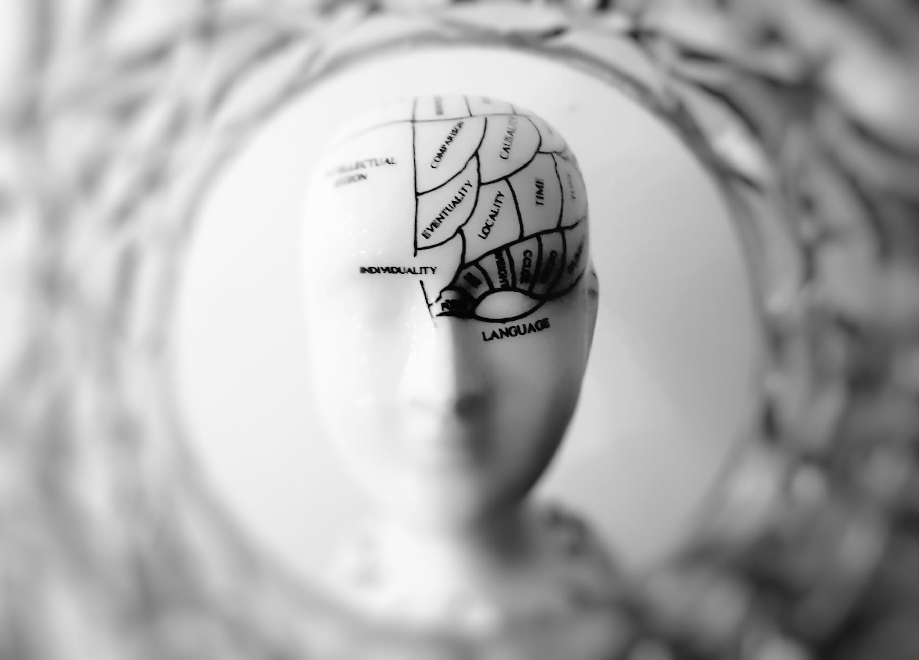My Loved One Had a Stroke: Information About Rehabilitation